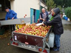 Obsternte Und Maischen 2012 15